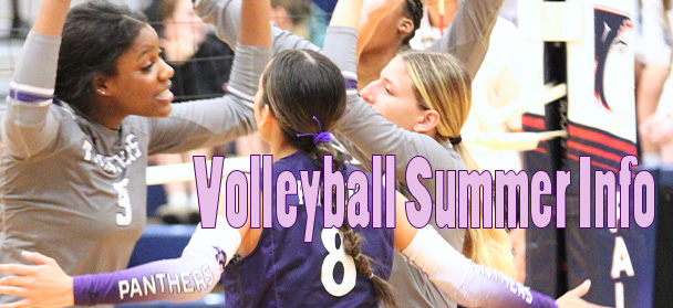  summer info volleyball